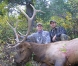 Idaho, Elk bull hunt