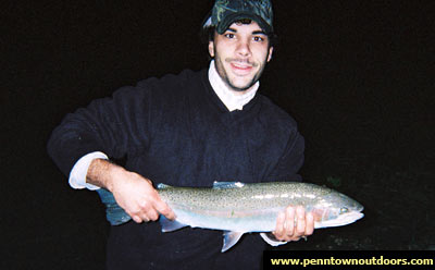 be03 Steelhead fish photo
