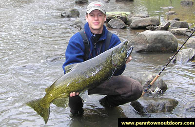 Huge Salmon fish Huge Salmon fish